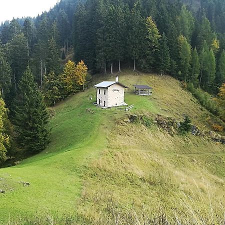 B&B Ai Pini Tiarno di Sopra Eksteriør bilde