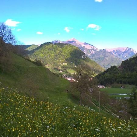 B&B Ai Pini Tiarno di Sopra Eksteriør bilde