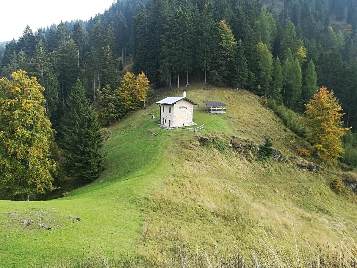 B&B Ai Pini Tiarno di Sopra Eksteriør bilde