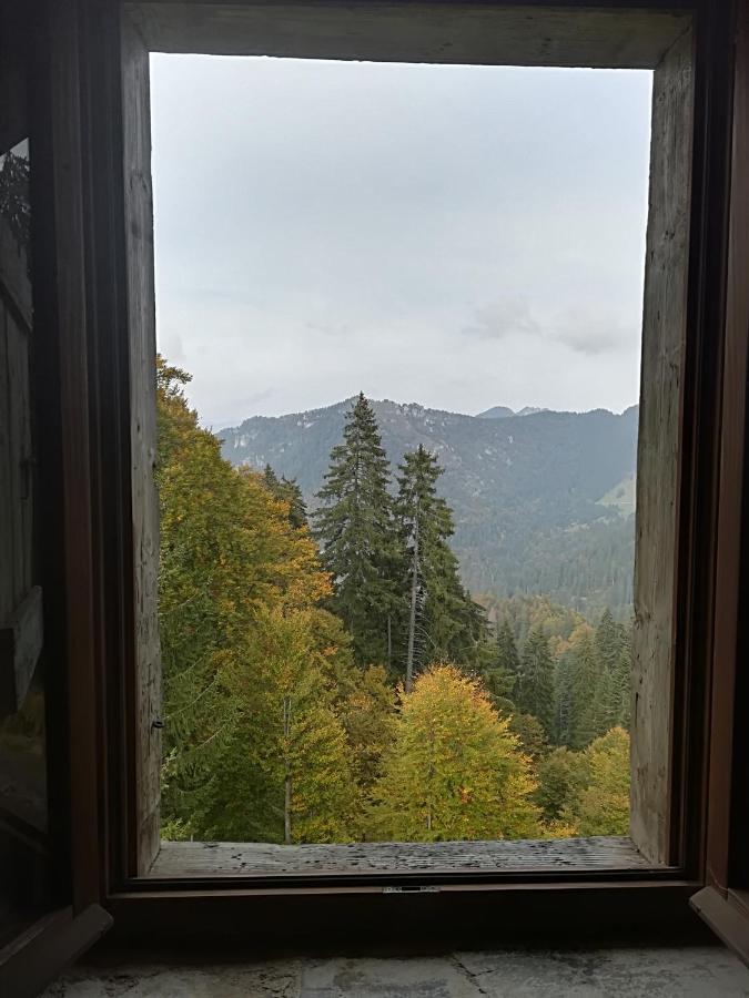 B&B Ai Pini Tiarno di Sopra Eksteriør bilde