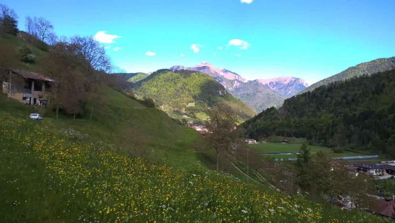 B&B Ai Pini Tiarno di Sopra Eksteriør bilde