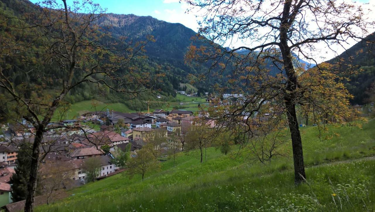 B&B Ai Pini Tiarno di Sopra Eksteriør bilde